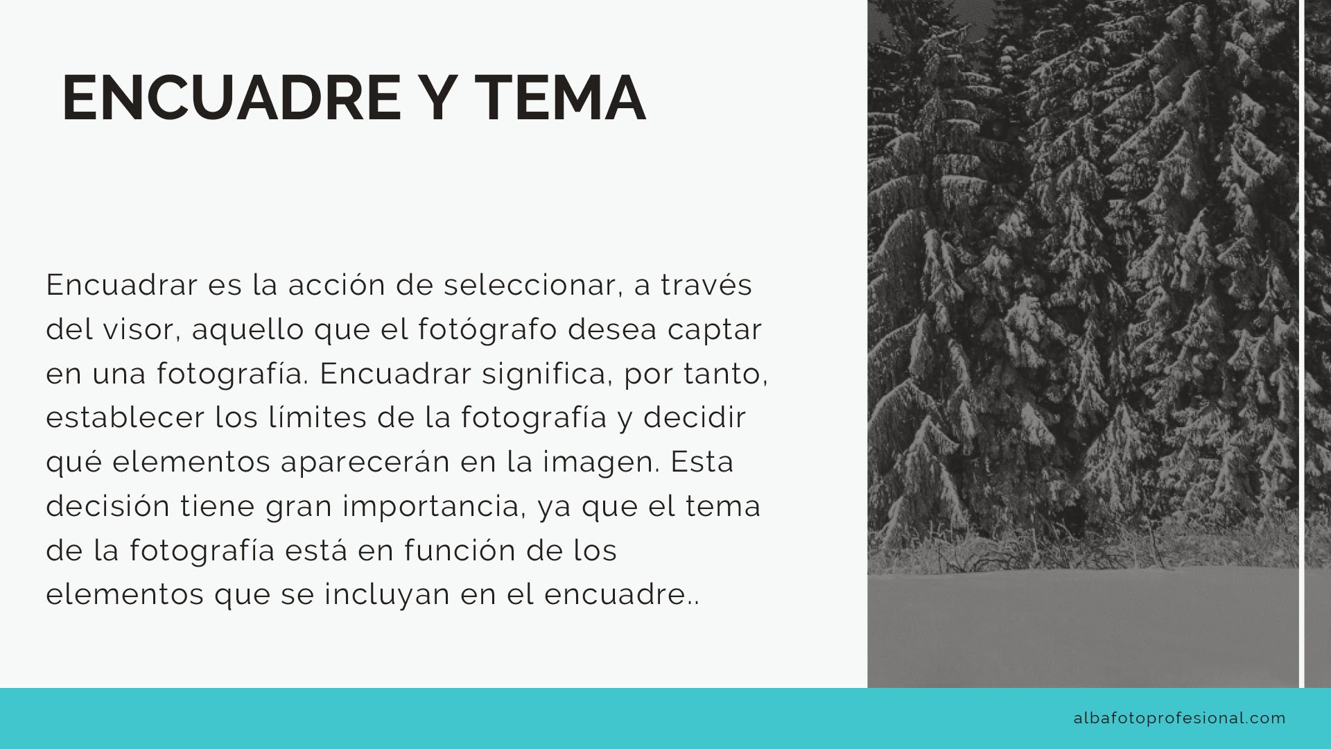 CURSO FOTOGRAFIA-2