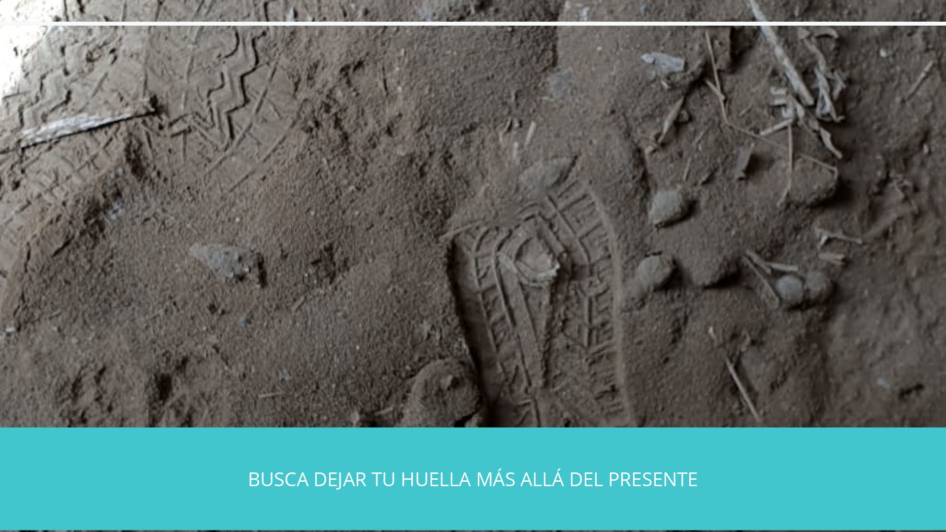 CursoFotografiaBasicoNivel1Cuestionario2-11 copia