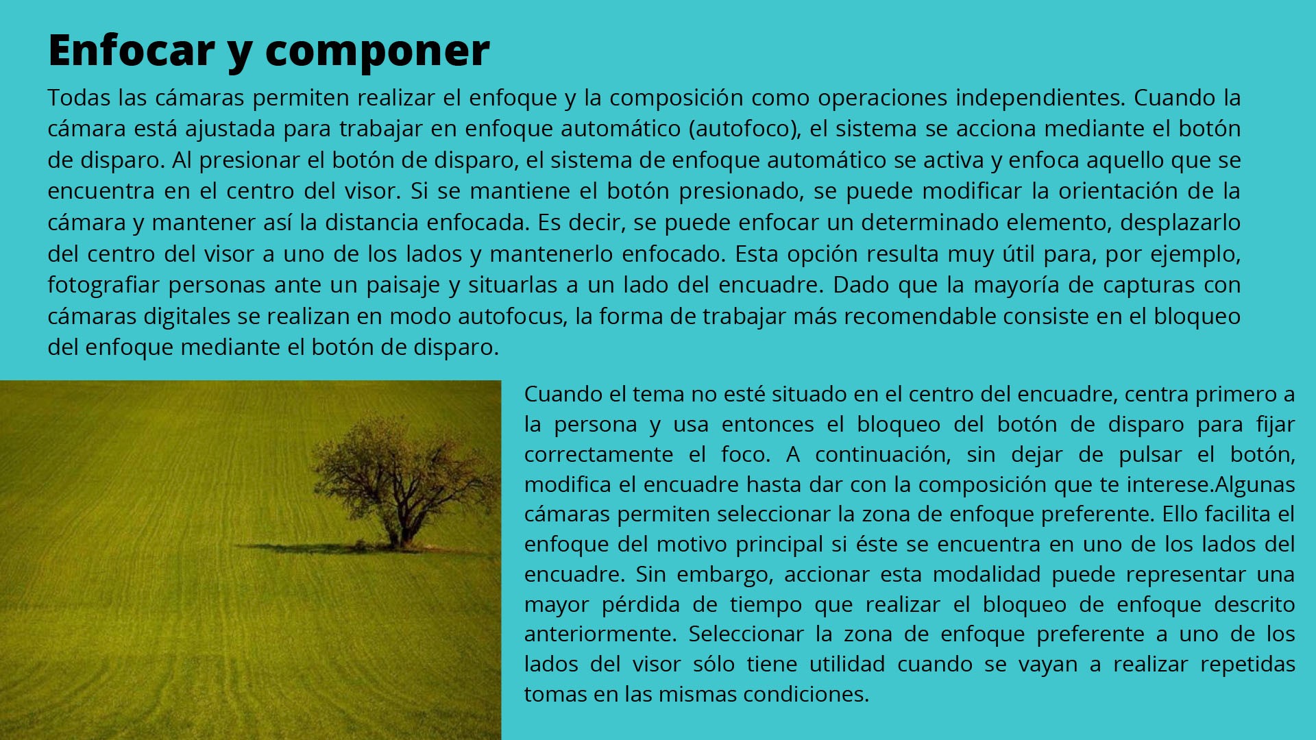 CursoFotografiaBasicoNivel1Cuestionario2-7 copia