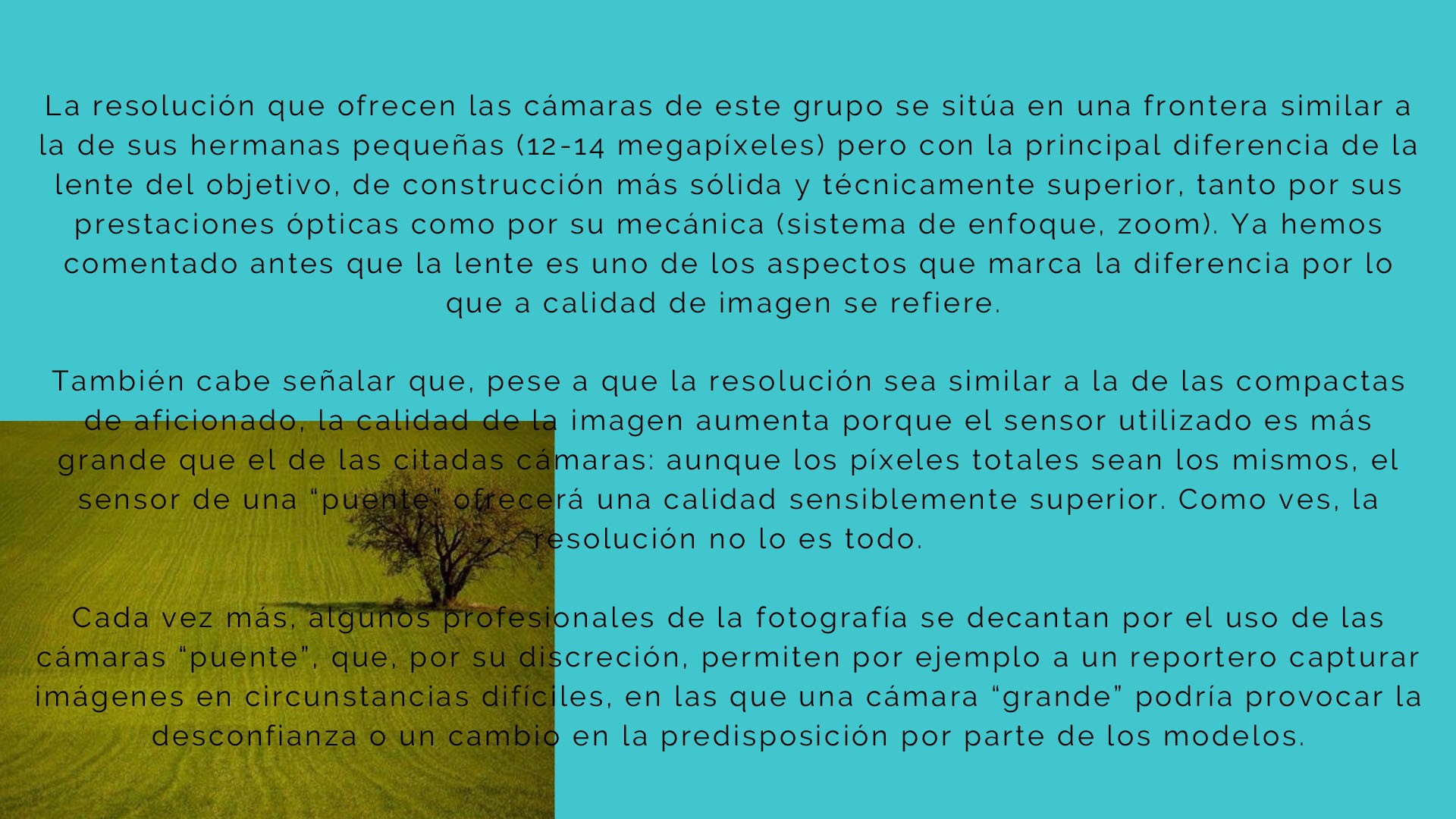 CursoFotografiaBasicoNivelICuestionario3 09